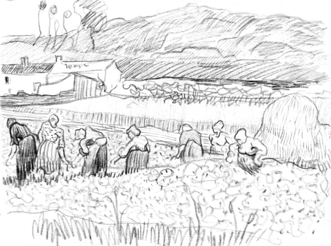 Landscape With Peasant Women Harvesting By Vincent Van Gogh  Coloring Page